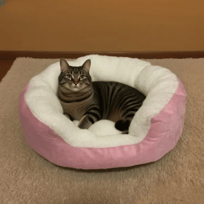 Orthopädisches Plüschbett – Weiches Haustierbett mit Rückenlehne für Katzen & kleine Hunde, ganzjährig bequem & pflegeleicht - fellfunk.de