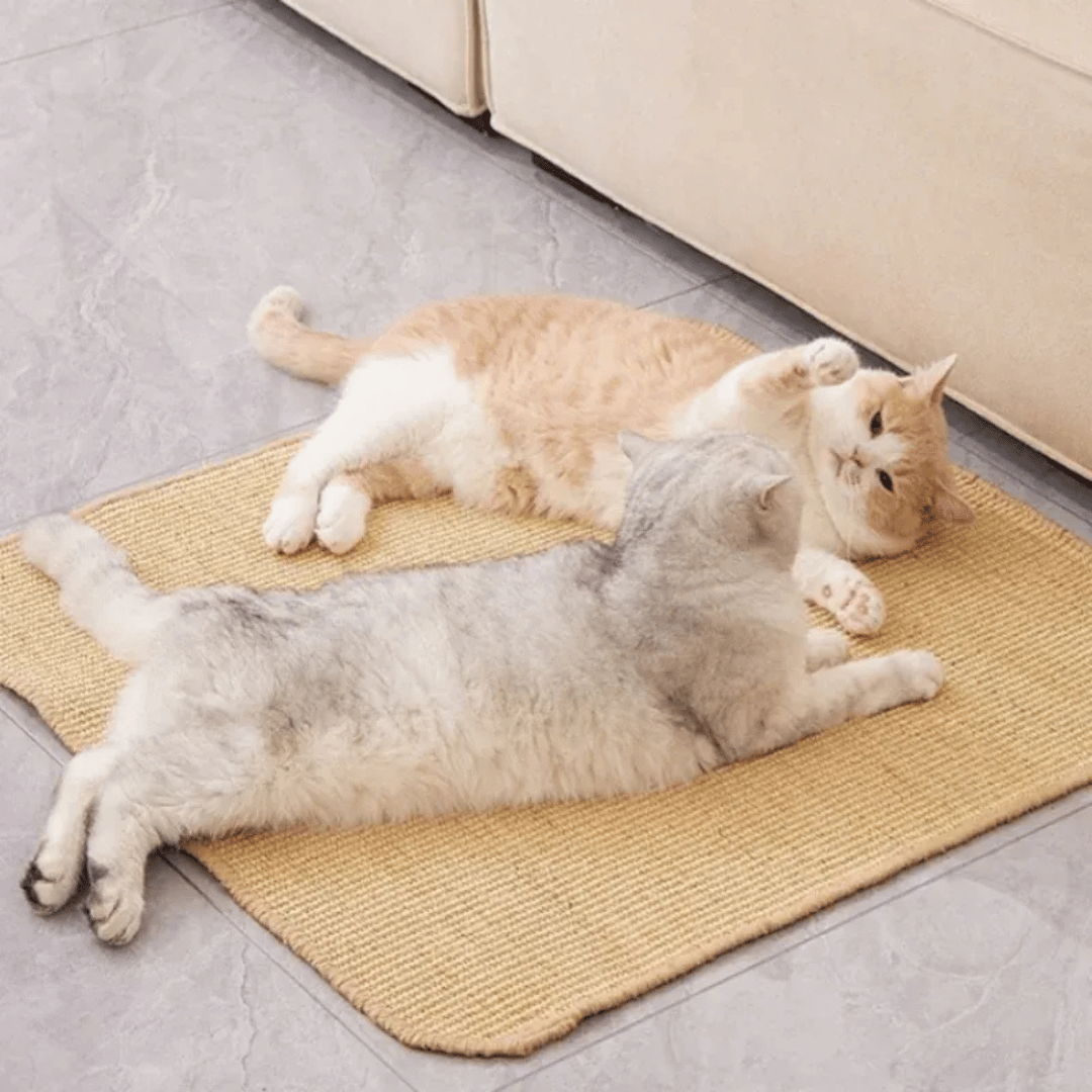 Wand - Kratzbrett – Robustes Sisalbrett für Katzen zur Krallenpflege & Möbel - Schutz, einfach montierbar & ideal für aktives Training - fellfunk.de