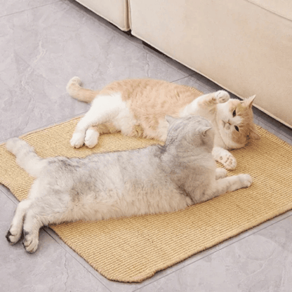 Wand - Kratzbrett – Robustes Sisalbrett für Katzen zur Krallenpflege & Möbel - Schutz, einfach montierbar & ideal für aktives Training - fellfunk.de