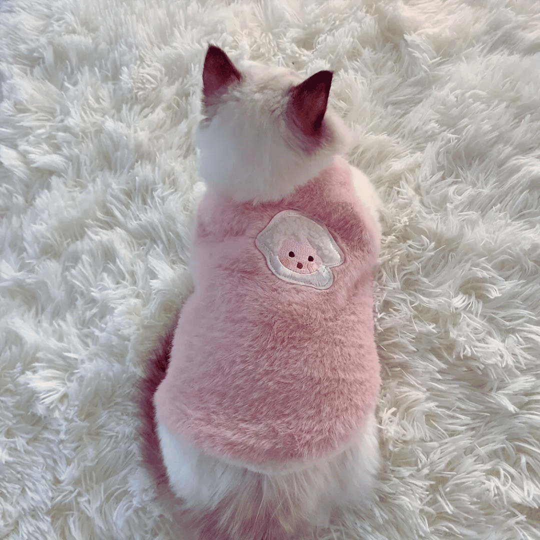 Fellfunk Katzenpullover – Weiche Winterkleidung für Kitten & kleine Hunde, hält warm & bequem, ideal für kalte Tage & stylische Auftritte - fellfunk.de