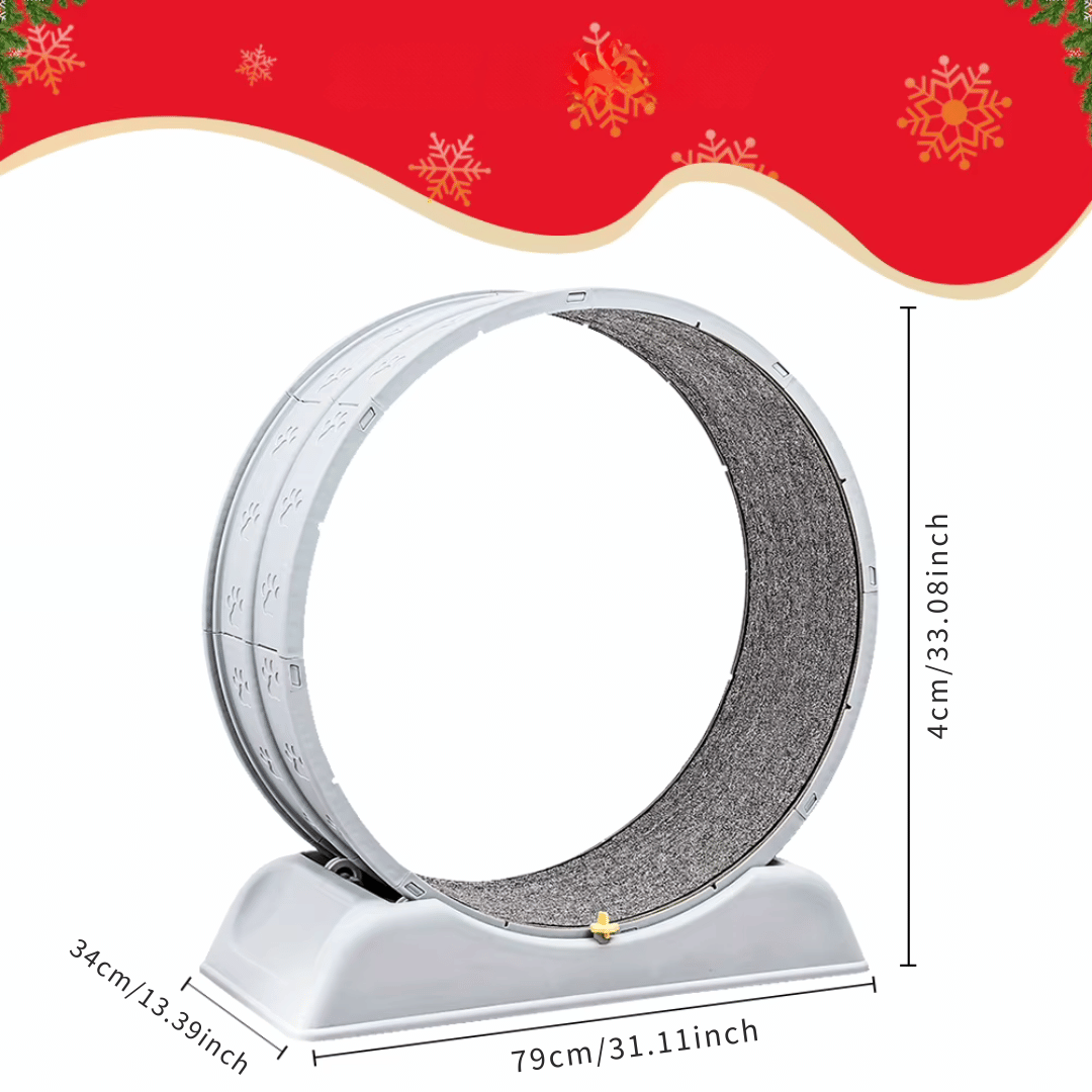 Fellfunk FitWheel - Das Katzen - Laufband für mehr Bewegung im Haus - fellfunk.de