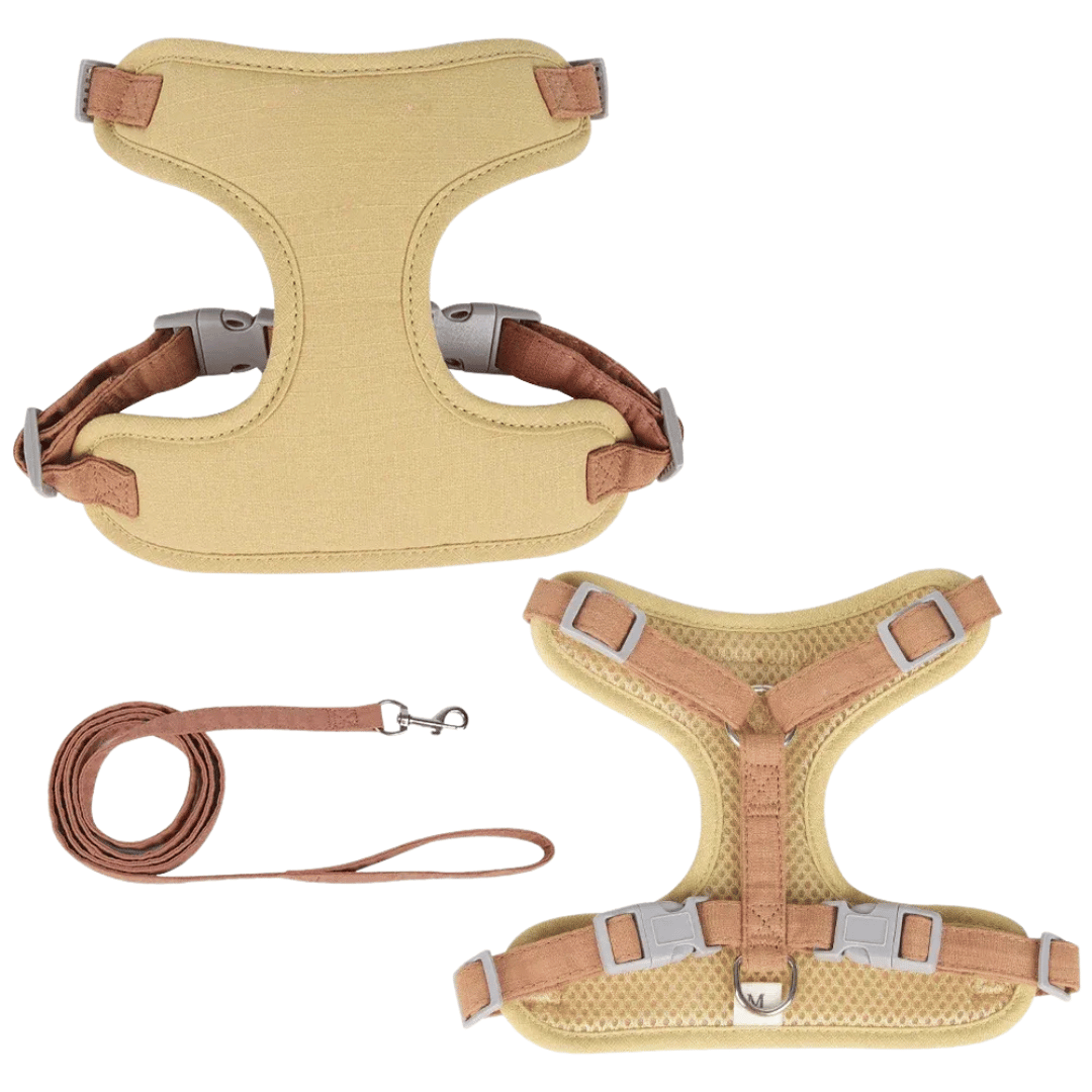 Fellfunk EasyStep Harness für Katzen & kleine Hunde – Flexibles Leinen - Geschirr - Set für Outdoor - Walks mit Sicherheitsverschluss - fellfunk.de