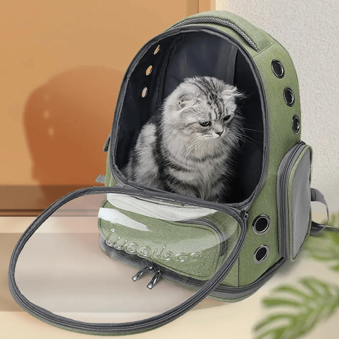 Katzenrucksack Transparent – Belüftete Reisetasche für Katzen & kleine Haustiere - fellfunk.de