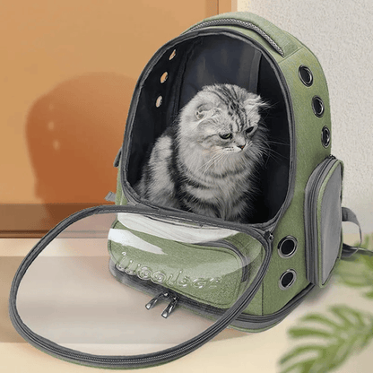 Katzenrucksack Transparent – Belüftete Reisetasche für Katzen & kleine Haustiere - fellfunk.de