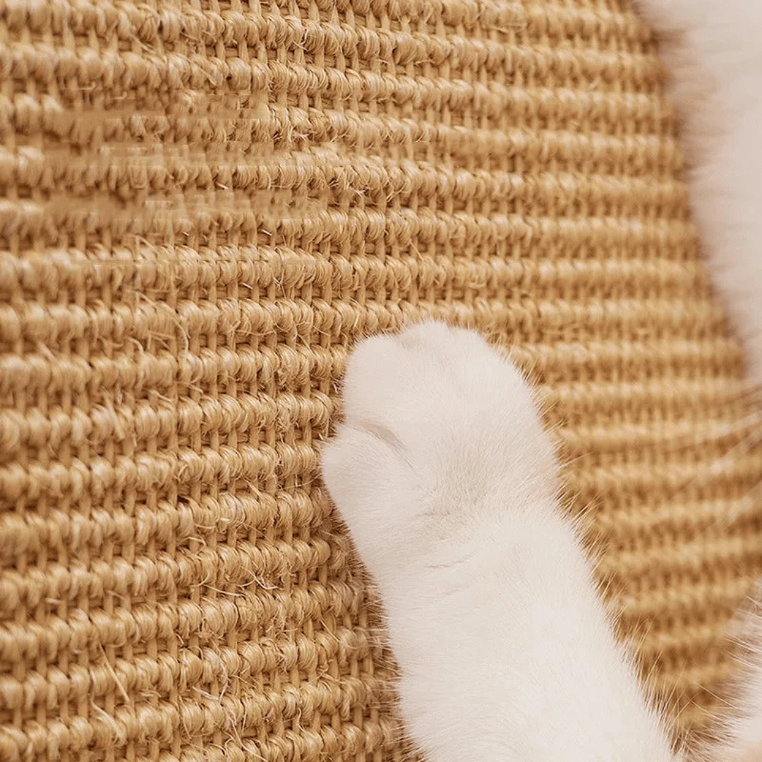 Wand - Kratzbrett – Robustes Sisalbrett für Katzen zur Krallenpflege & Möbel - Schutz, einfach montierbar & ideal für aktives Training - fellfunk.de