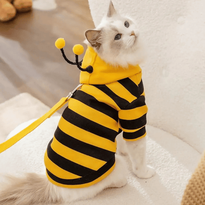 Fellfunk Bienen - Kostüm – Süßer Hoodie für Katzen & kleine Hunde, ideal für Halloween, Winter & Feiertage – warm & bequem - fellfunk.de