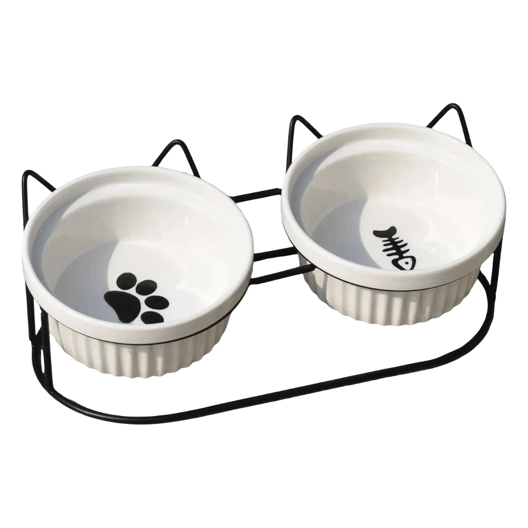FellFunk Erhöhte Keramik - Katzenschale – 15° geneigter Napf für Futter & Wasser, anti - Erbrechen & ergonomisch - fellfunk.de