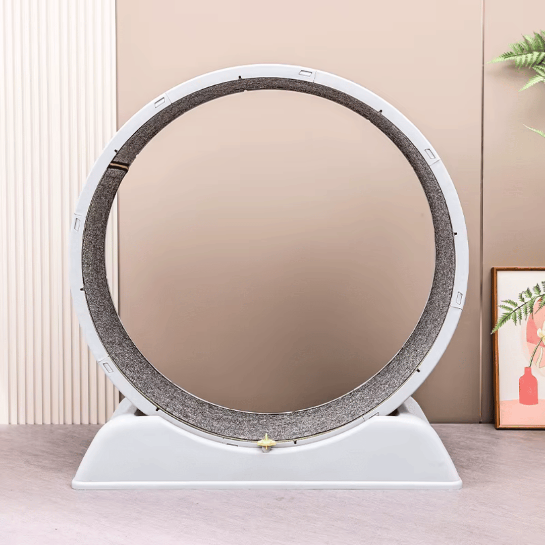 Fellfunk FitWheel - Das Katzen - Laufband für mehr Bewegung im Haus - fellfunk.de