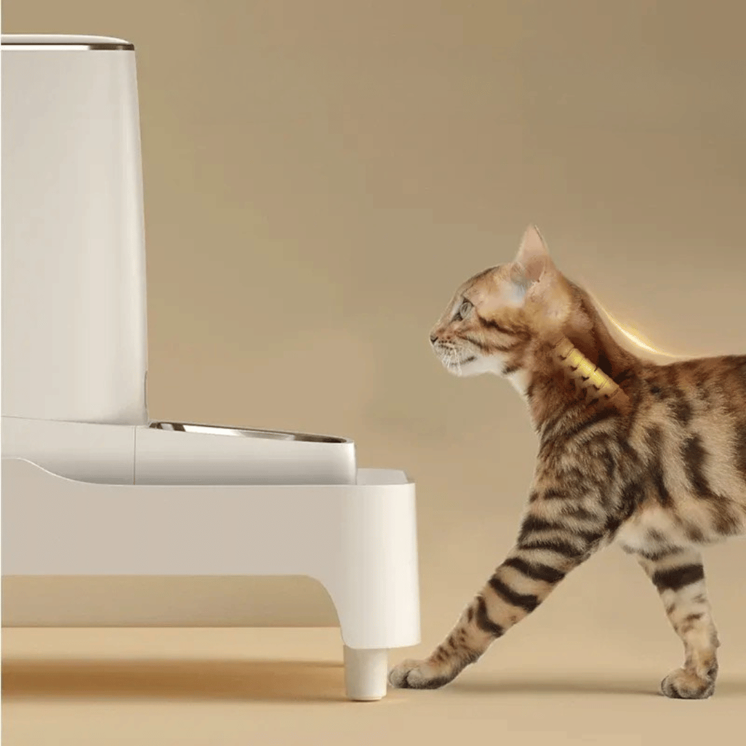 Futterautomaten - Halter – Verstellbarer Standfuß für Katzen & Hunde, sorgt für optimale Fresshöhe & gesunde Haltung beim Fressen - fellfunk.de