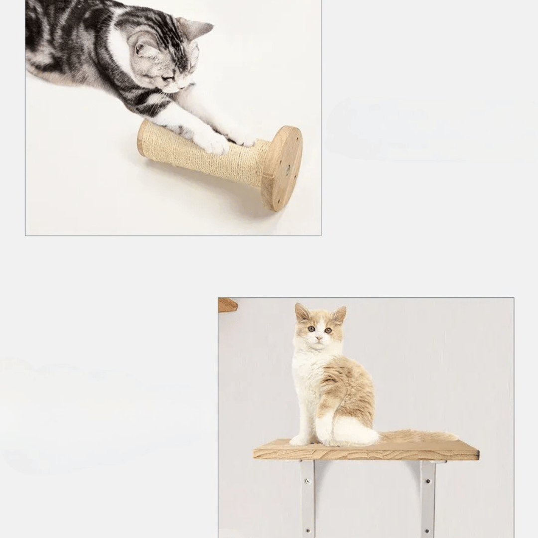 FellFunk Wand - Katzenbaum – Wandregale mit Kratzstamm, Hängematte, Kletterplattform & Seilleiter aus Holz - fellfunk.de