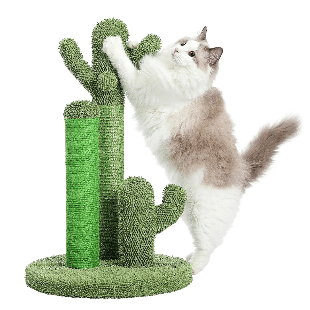 Fellfunk Kratzbaum Kaktus – Stylischer Katzen - Kratzbaum mit 3 Sisal - Säulen & Spielball für Krallenpflege, Spielspaß & Wohnungdeko - fellfunk.de
