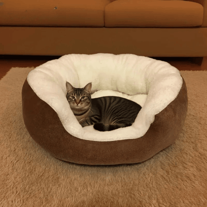 Orthopädisches Plüschbett – Weiches Haustierbett mit Rückenlehne für Katzen & kleine Hunde, ganzjährig bequem & pflegeleicht - fellfunk.de