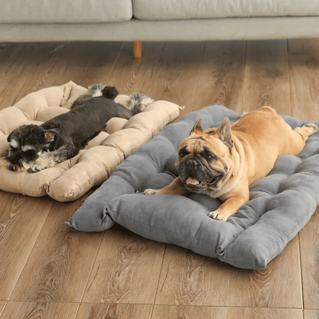 Weiches 3 - in - 1 Hundebett – Warme Schlafmatte & Sofa für Welpen & Katzen im Winter - fellfunk.de