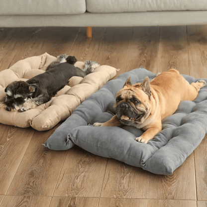 Weiches 3 - in - 1 Hundebett – Warme Schlafmatte & Sofa für Welpen & Katzen im Winter - fellfunk.de