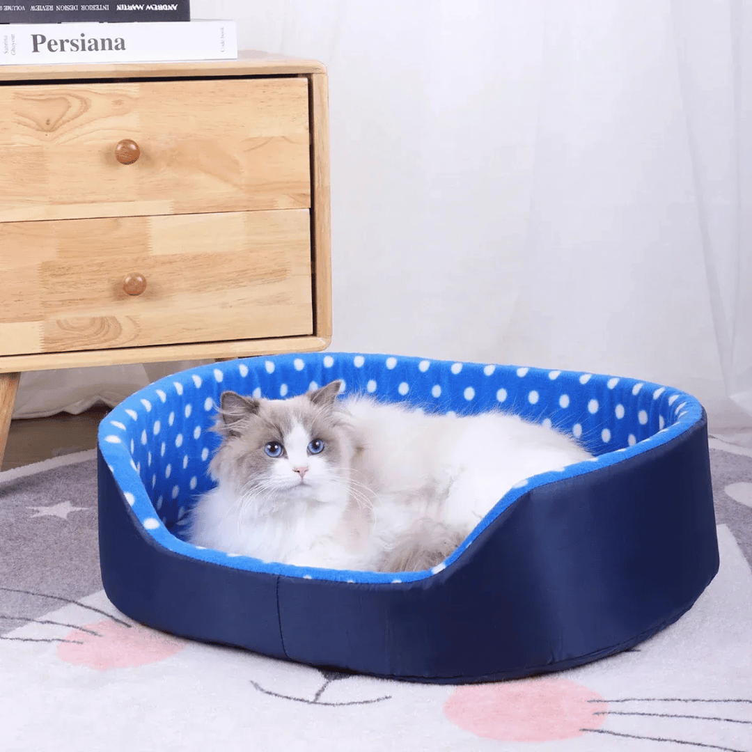 Punkte - Katzenbett – Weiches Haustierbett mit Kissen, ideal für Katzen & kleine Hunde, gemütlicher Schlafplatz & modernes Design - fellfunk.de