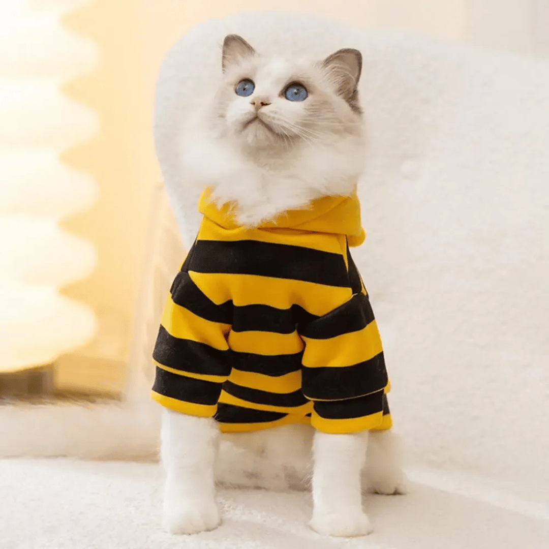Fellfunk Bienen - Kostüm – Süßer Hoodie für Katzen & kleine Hunde, ideal für Halloween, Winter & Feiertage – warm & bequem - fellfunk.de