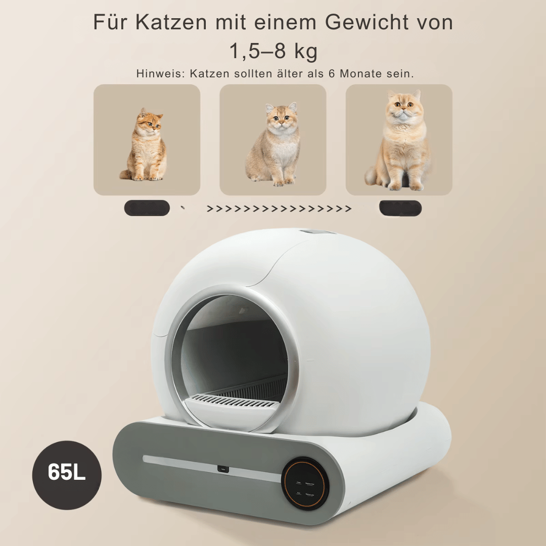 Fellfunk CleanBox Pro – Automatische Katzentoilette mit App & 65L Kapazität - fellfunk.de