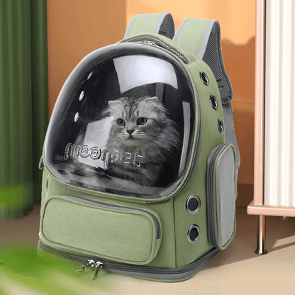 Katzenrucksack Transparent – Belüftete Reisetasche für Katzen & kleine Haustiere - fellfunk.de