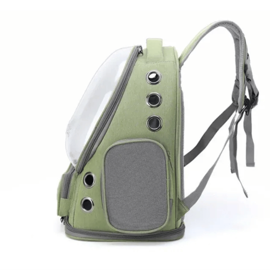 Katzenrucksack Transparent – Belüftete Reisetasche für Katzen & kleine Haustiere - fellfunk.de