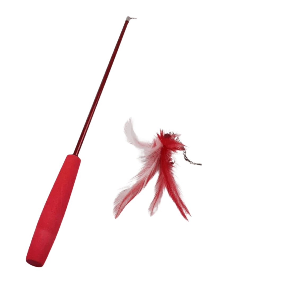 Teleskop-Katzenangel: 3-Segment-Spielstab für interaktives Katzenspiel & Training