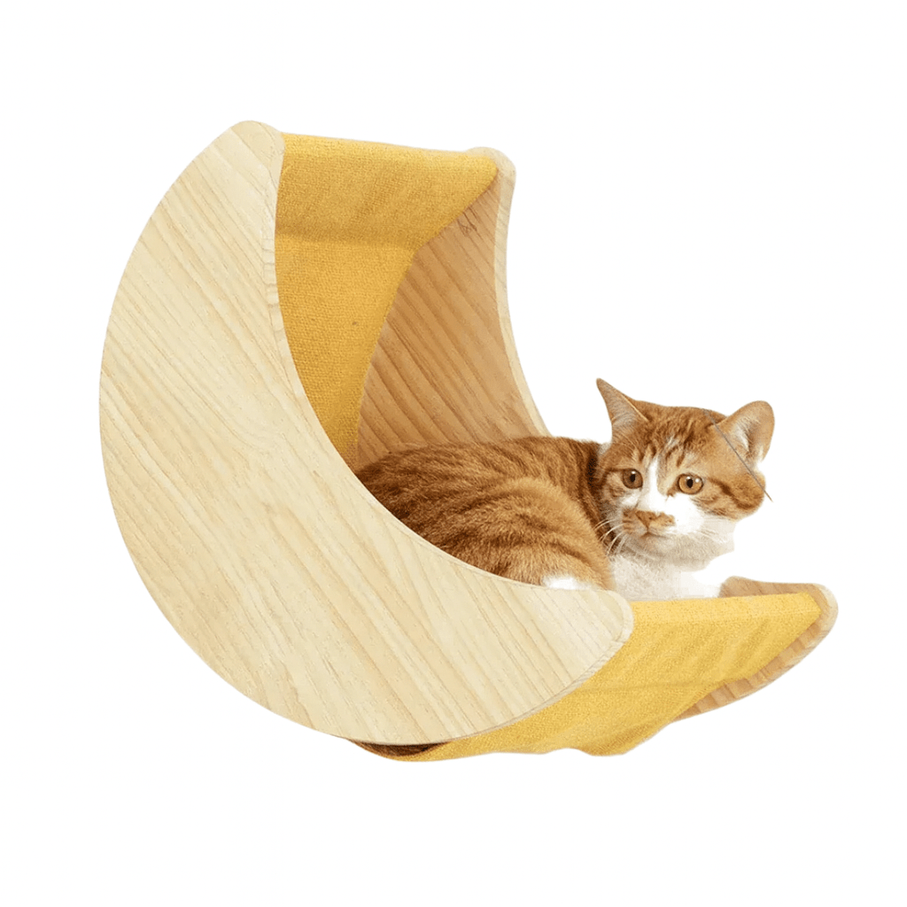 FellFunk Wand - Katzenbaum – Wandregale mit Kratzstamm, Hängematte, Kletterplattform & Seilleiter aus Holz - fellfunk.de