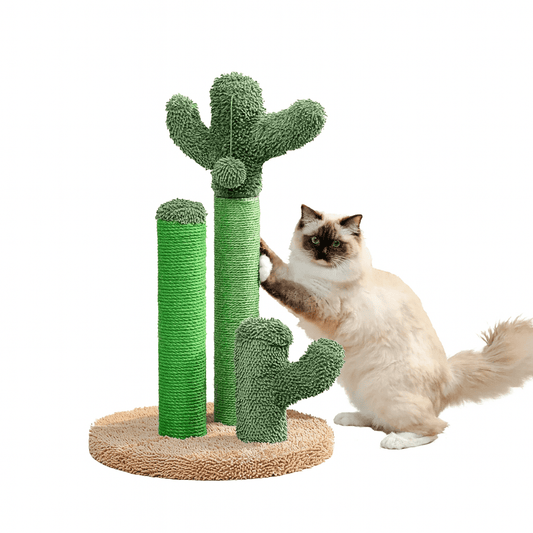 Fellfunk Kratzbaum Kaktus – Stylischer Katzen - Kratzbaum mit 3 Sisal - Säulen & Spielball für Krallenpflege, Spielspaß & Wohnungdeko - fellfunk.de