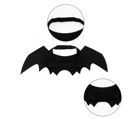 Fellfunk Fledermaus - Kostüm – Lustige Katzenflügel für Halloween & Weihnachten, leicht & bequem für Katzen & kleine Hunde - fellfunk.de