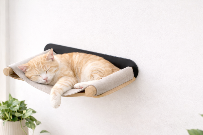 FellFunk Premium Katzenzubehör - Innovative Produkte für Katzen