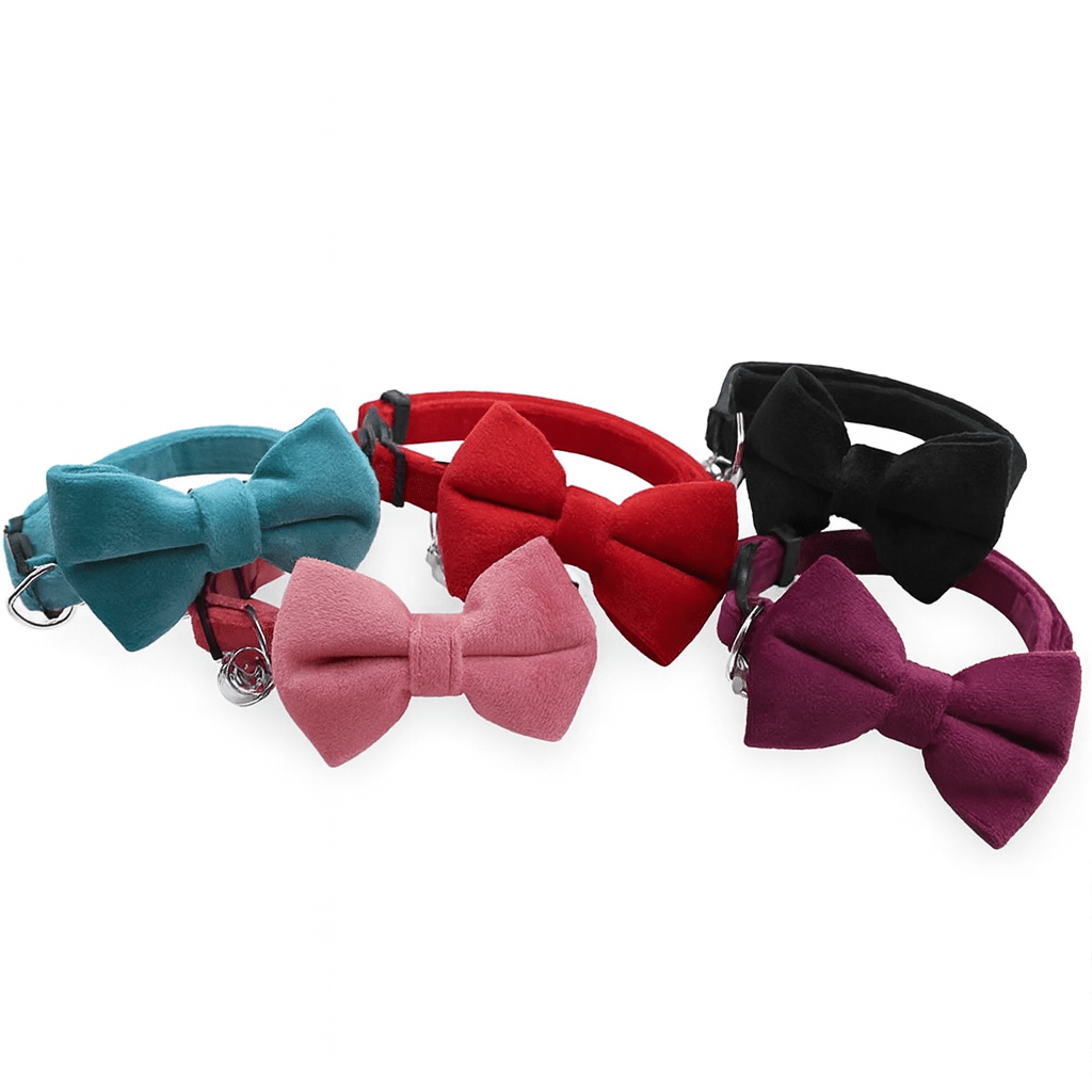 Fellfunk Samt - Halsband mit Schleife – Verstellbares Katzenhalsband mit Sicherheitsverschluss & Glöckchen für stilvolle Stubentiger - fellfunk.de