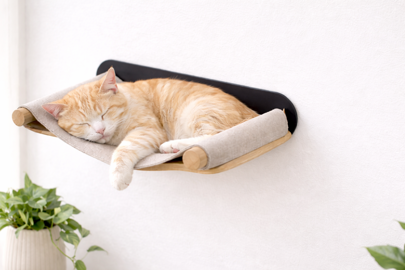 FellFunk Premium Katzenzubehör - Innovative Produkte für Katzen