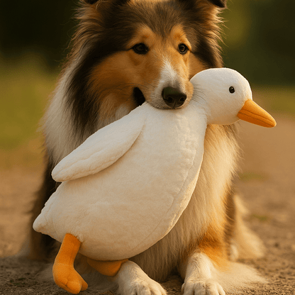 Plüsch Entenspielzeug für Hunde – Große weiße Ente zum Kauen & Spielen, realistisches Design - fellfunk.de
