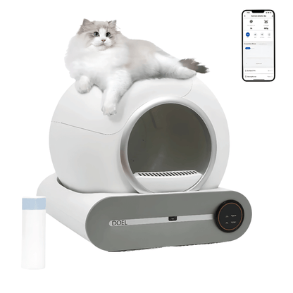 Fellfunk CleanBox Pro – Automatische Katzentoilette mit App & 65L Kapazität - fellfunk.de