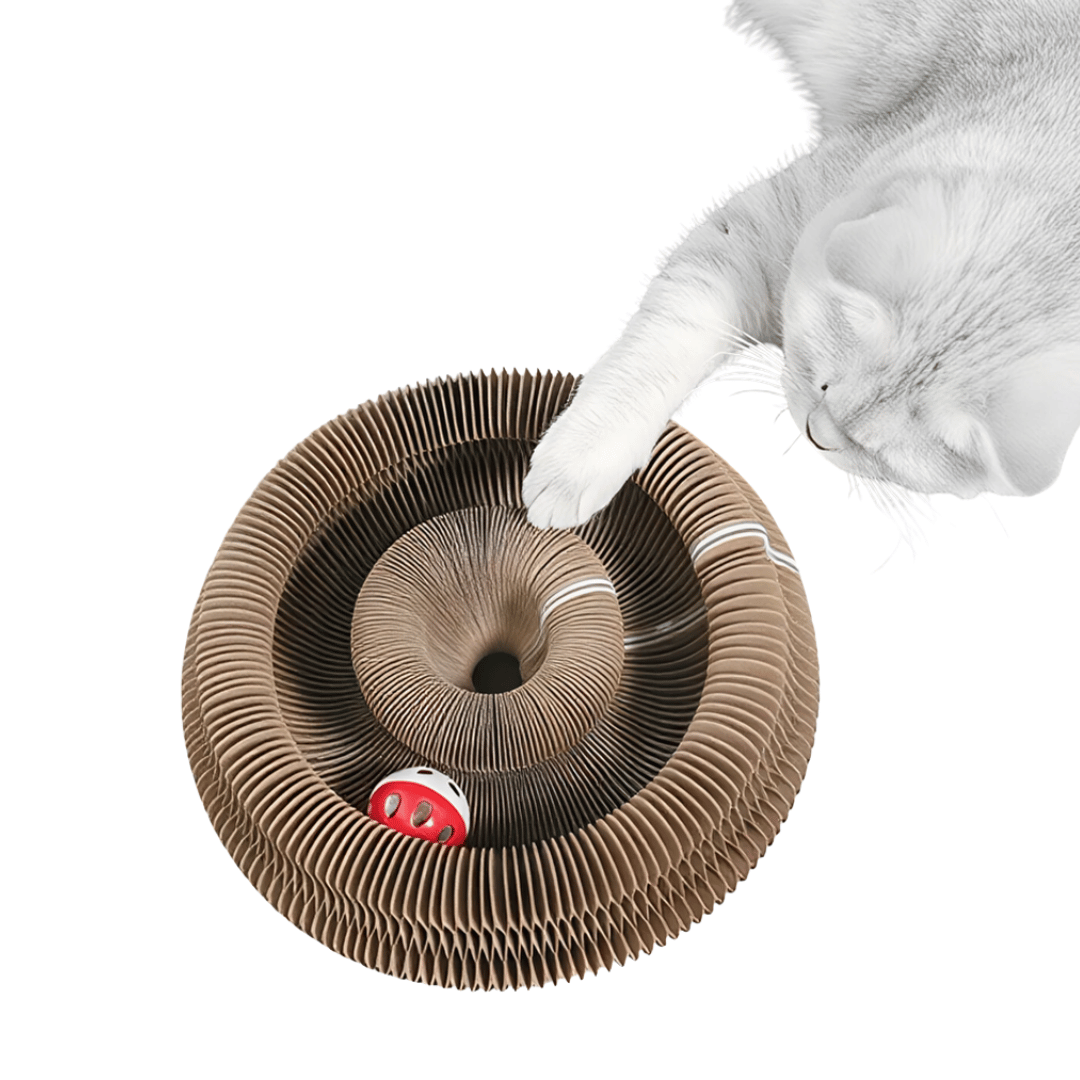 Kratzbrett „Spin & Scratch“ – 2 - in - 1 Katzen - Spielzeug mit Kratzfläche & integrierter Ballbahn für aktives Spielen & Krallenpflege - fellfunk.de