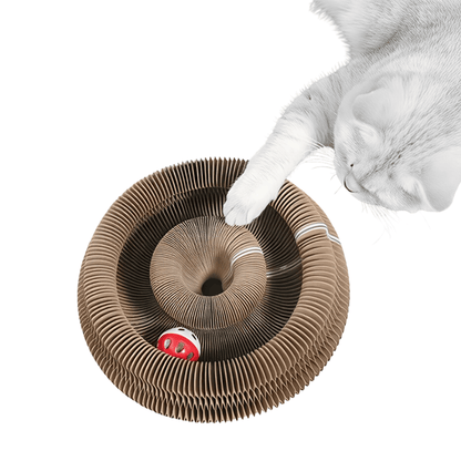 Kratzbrett „Spin & Scratch“ – 2 - in - 1 Katzen - Spielzeug mit Kratzfläche & integrierter Ballbahn für aktives Spielen & Krallenpflege - fellfunk.de