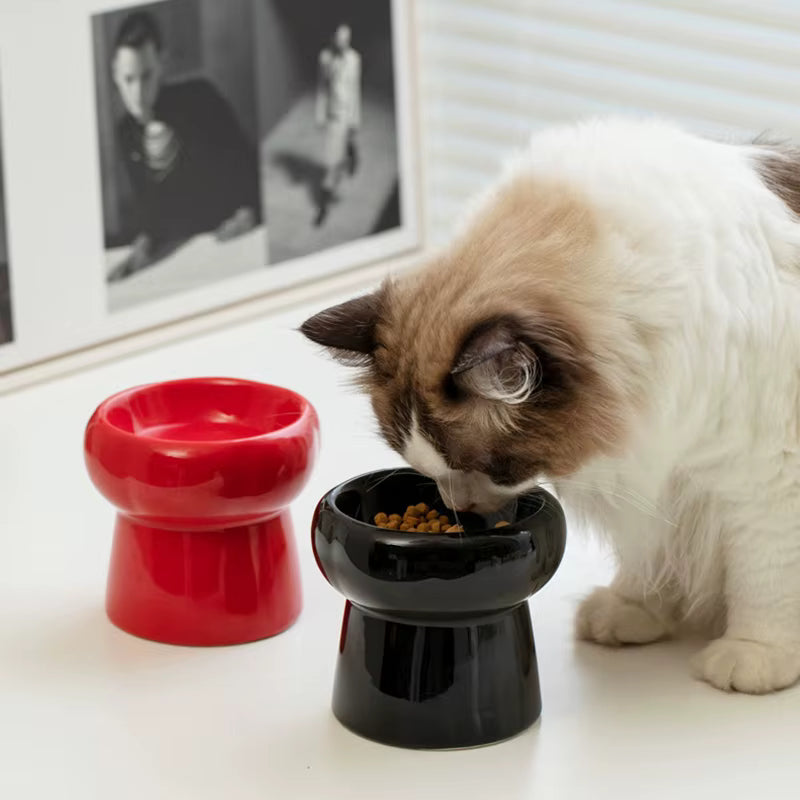 PureLift Keramiknapf - Gesunde Fresshaltung für Katzen & kleine Hunde