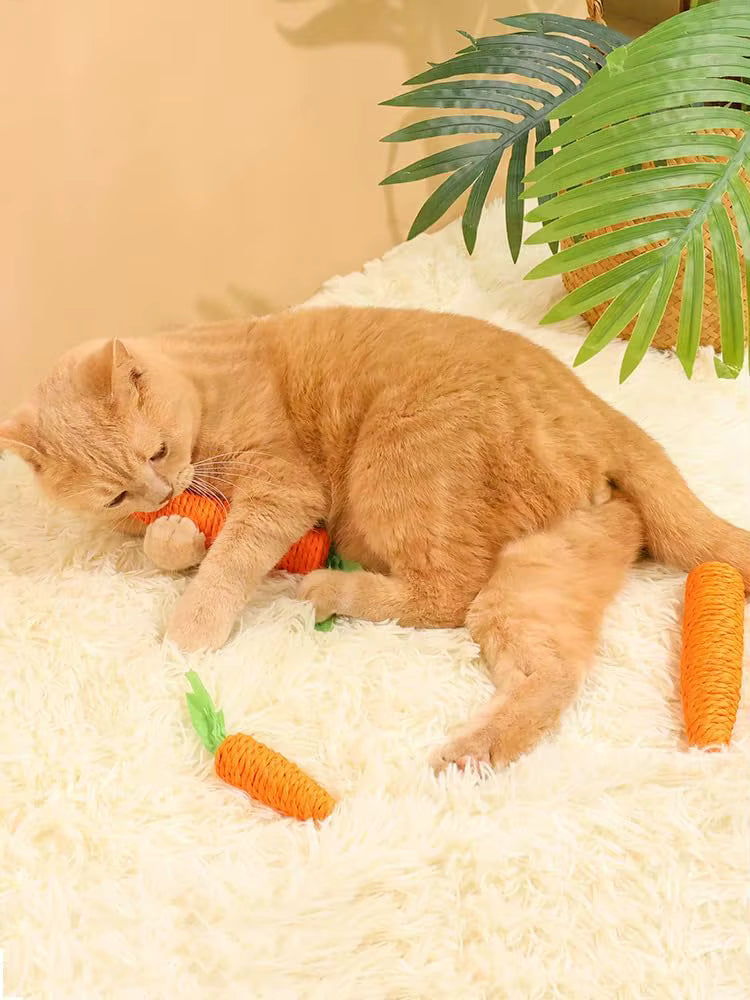 Fellfunk KnabberKarotte - Das perfekte Katzenspielzeug für selbständige Beschäftigung & Zahnpflege