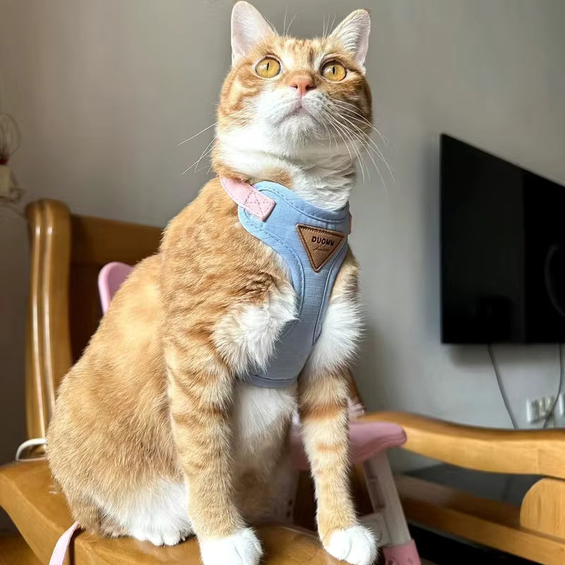 Fellfunk EasyStep Harness - Sicherheit & Flexibilität für Outdoor-Walks