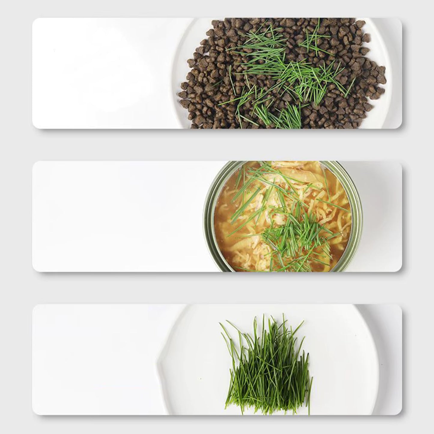 Fellfunk Katzengras-Cup – Mehrstufiger Anzuchtbehälter für frisches Katzengras ohne Erde – wiederverwendbar & perfekt für Wohnungskatzen