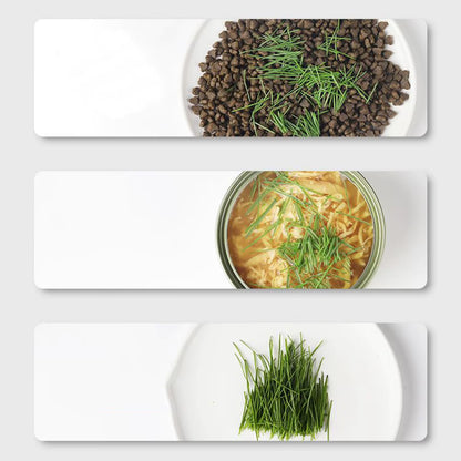 Fellfunk Katzengras-Cup – Mehrstufiger Anzuchtbehälter für frisches Katzengras ohne Erde – wiederverwendbar & perfekt für Wohnungskatzen