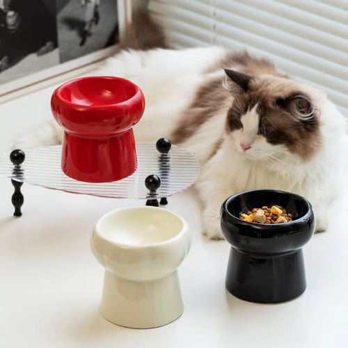 PureLift Keramiknapf - Gesunde Fresshaltung für Katzen & kleine Hunde