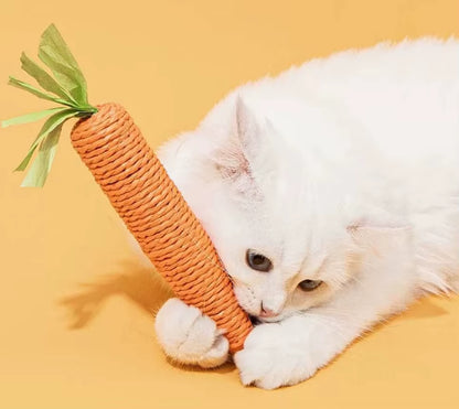 Fellfunk KnabberKarotte - Das perfekte Katzenspielzeug für selbständige Beschäftigung & Zahnpflege